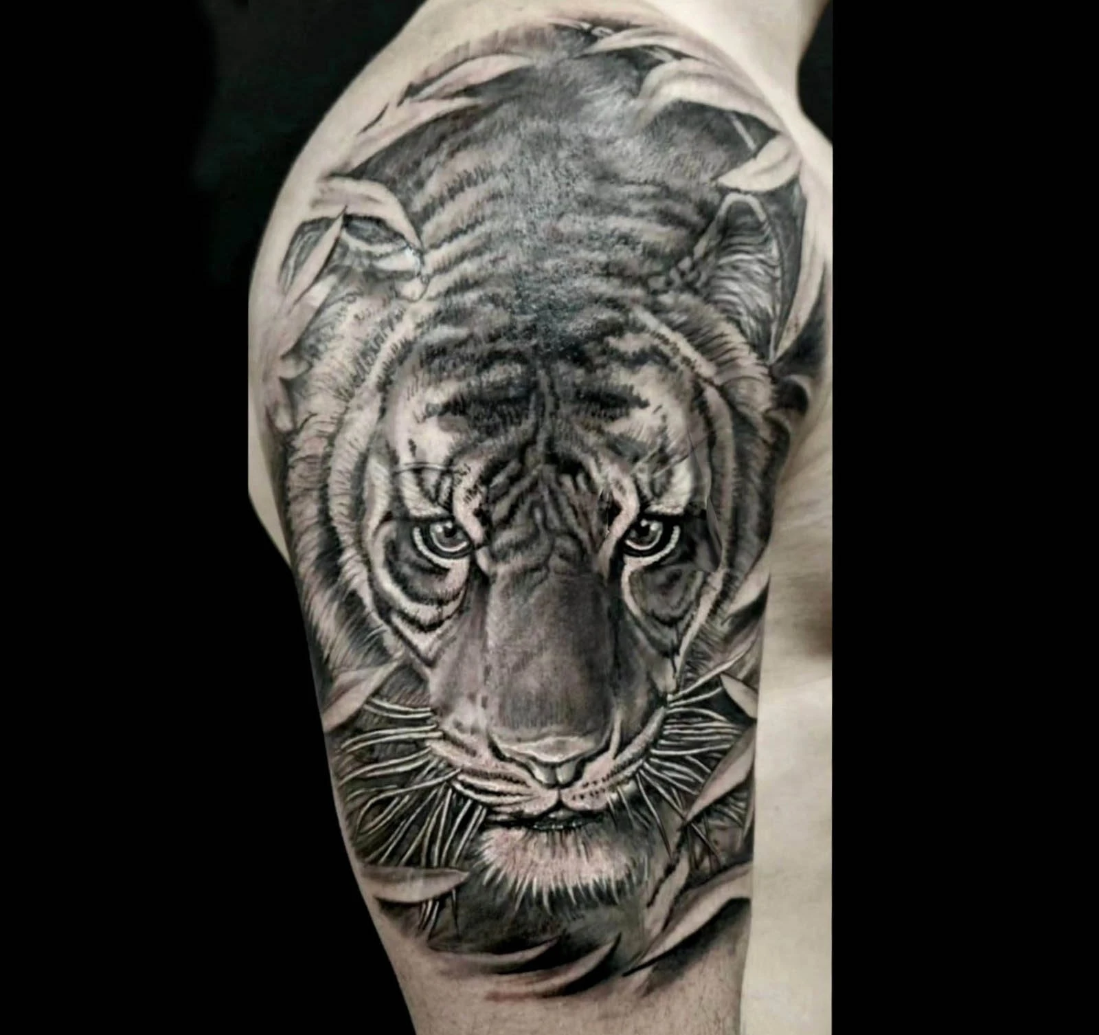 Black and grey realistic tiger portrait tattoo on shoulder